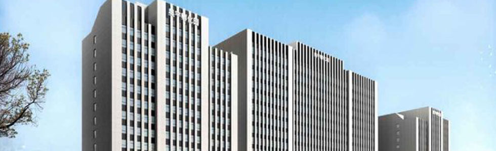 �����g��ĥ�p����